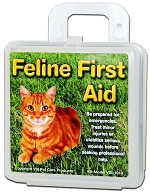 Feline First Aid
